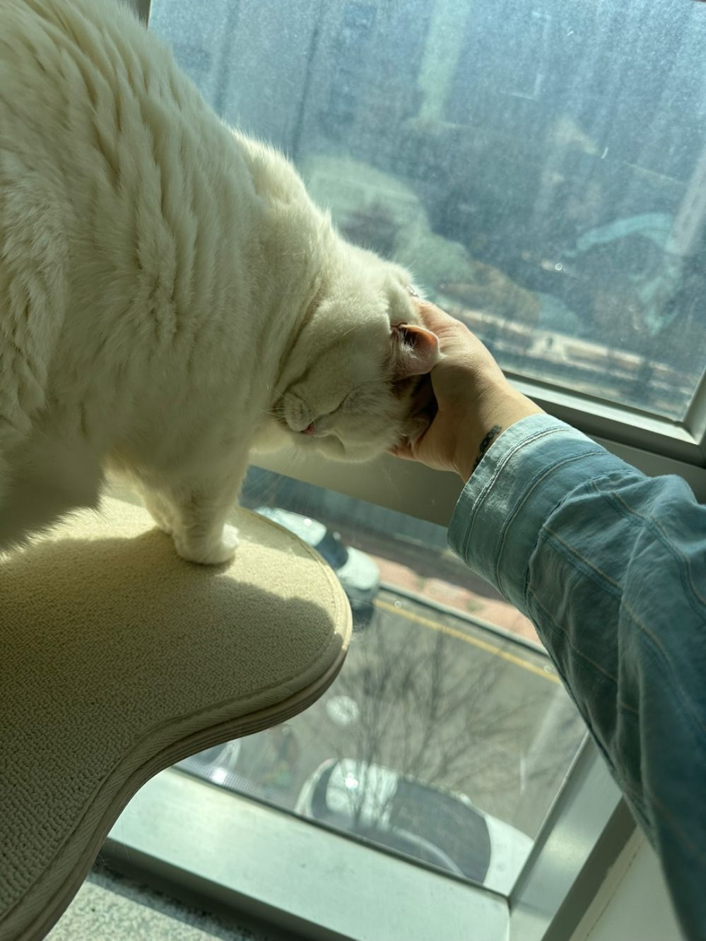 KakaoTalk_20250301_154742610_29.jpg
